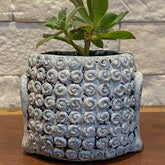 vaso dian cimento buddha buda decoracao plantas plantinhas jungle home casa suculentas vasinhos artesintonia decoracoes 4