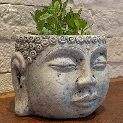 vaso dian cimento buddha buda decoracao plantas plantinhas jungle home casa suculentas vasinhos artesintonia decoracoes 6