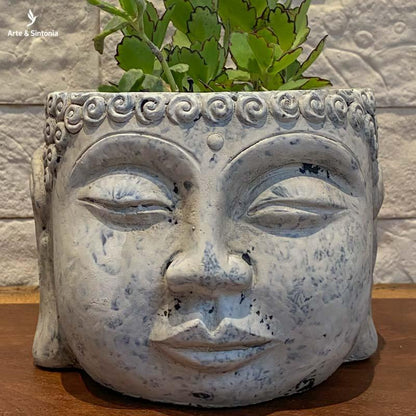 vaso dian cimento buddha buda decoracao plantas plantinhas jungle home casa suculentas vasinhos artesintonia decoracoes 7