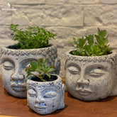 vaso dian cimento buddha buda decoracao plantas plantinhas jungle home casa suculentas vasinhos artesintonia decoracoes 8