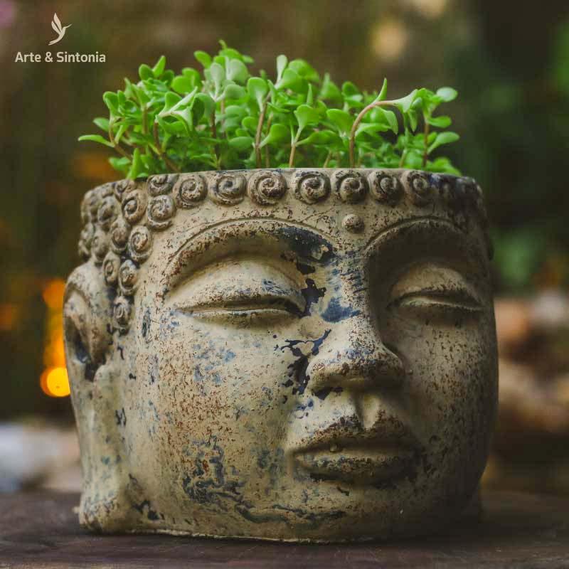 Vaso Cabeça de Buda Antik - Arte &amp; Sintonia Buda All, cimento, Garden, lancamentos, Vaso, Vasos, Zen