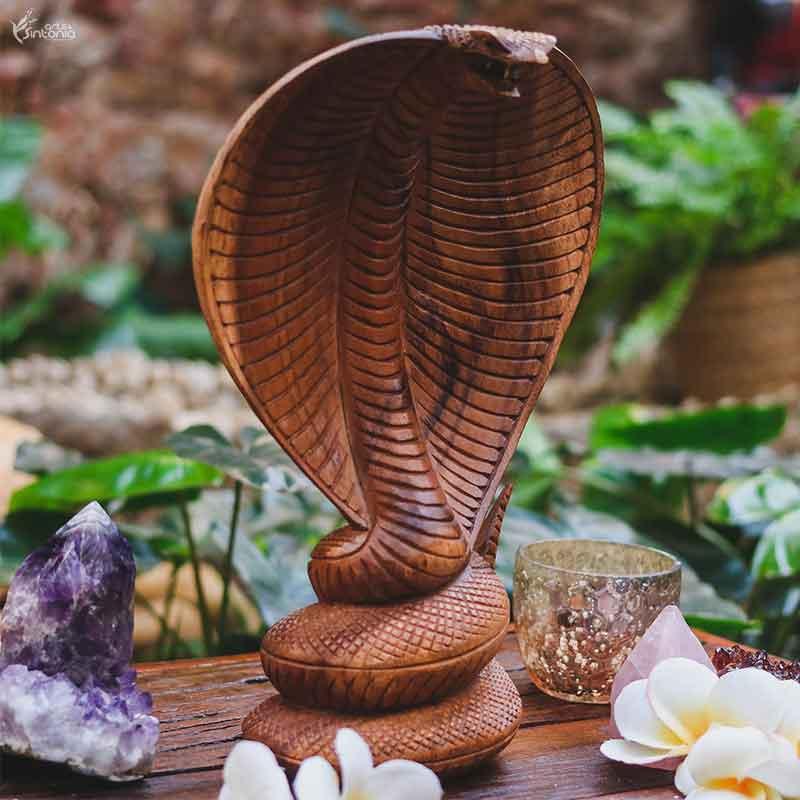 GL41 19 cobra naja serpente madeira bali artesanal esculpida madeira decorativa home decor arte animais decorativos artesintonia 3