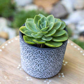 Vaso Cachepot de Cerâmica Preto - Arte & Sintonia ceramica, ceramicas, vaso, vaso jardim, vasos