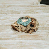 suporte vela porta-velas vidro madeira teca teka tronco arte decorativa decoração decor utilitária utilitário bali balinesa balines indonesia wood glass home house lar casa ambiente plantas flores planta flor artesão artesanato