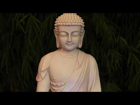 Fonte de Buda Tibet Marmorite