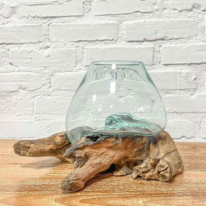 terrário vaso vidro tronco glass wood madeira teca teka artesão artesanato arte artista art decor decoração decorativo decoration