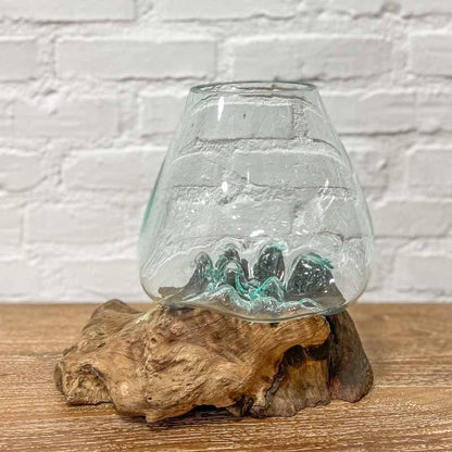 Terrário de Vidro no Tronco Teca | 20cm