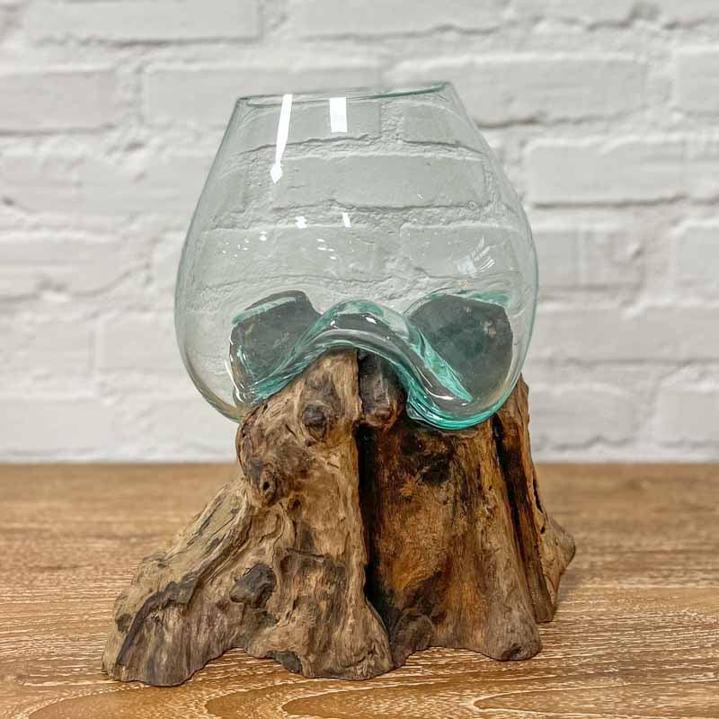 Terrário de Vidro no Tronco Teca | 20cm