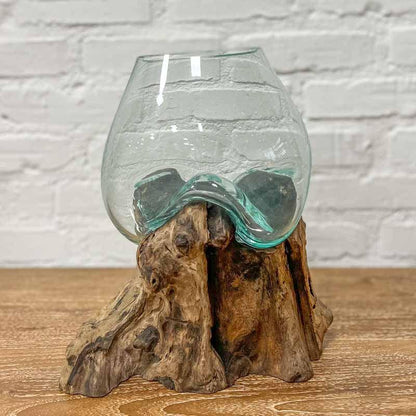Terrário de Vidro no Tronco Teca | 20cm