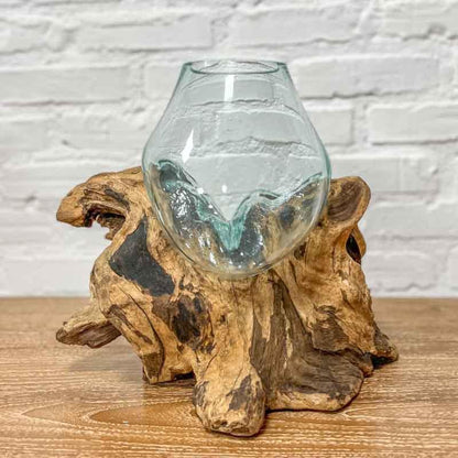 Terrário de Vidro no Tronco Teca | 20cm