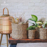 cestaria para vasos plantas plantinhas decoracao fibras naturais fibra natural artesintonia fiber artesintonia 8