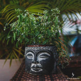 vaso-cabeca-grande-G-face-rosto-buddha-buda-para-plantas-decorativo-decoracao-jardim-garden-artesintonia-10